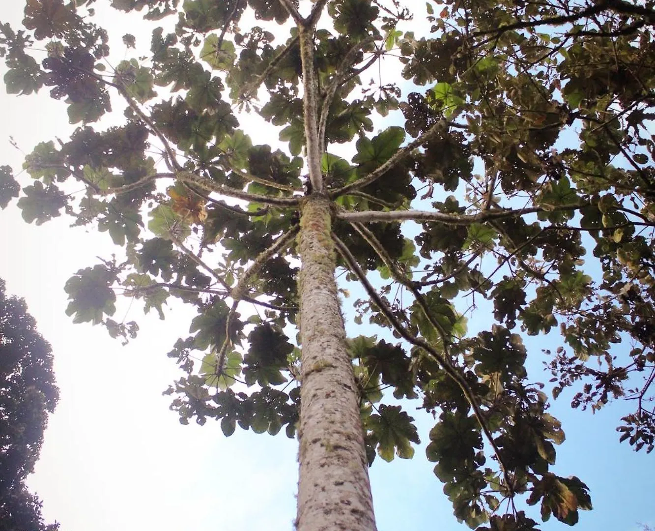 Campsite Vital Ecohotel Cabanas Guarne